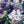 Load image into Gallery viewer, Serious Bug Stuff All Natural Bug Repellent - Medium