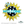 Load image into Gallery viewer, PRE-ORDER ONLY - Split Sunflower