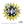 Load image into Gallery viewer, PRE-ORDER ONLY - Split Sunflower