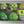 Load image into Gallery viewer, Golf Magnets