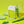 Load image into Gallery viewer, Power Mist Aloe You