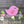 Load image into Gallery viewer, Bare Metal - Bird on a Branch It's Scrapicated, LLC