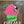 Load image into Gallery viewer, Bare Metal - Cupcake It's Scrapicated, LLC