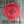 Load image into Gallery viewer, Bare Metal - Fire Shield It's Scrapicated, LLC