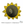 Load image into Gallery viewer, Bare Metal - Sunflower It's Scrapicated, LLC
