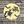 Load image into Gallery viewer, Bare Metal - Witch with Bats It's Scrapicated, LLC