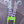 Load image into Gallery viewer, Yard Candy
