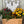 Load image into Gallery viewer, Yard Candy
