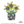 Load image into Gallery viewer, Sunflower in a Basket
