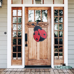 Spring Door Hanger Ladybug