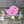 Load image into Gallery viewer, Bare Metal - Bird on a Branch It&#39;s Scrapicated, LLC 
